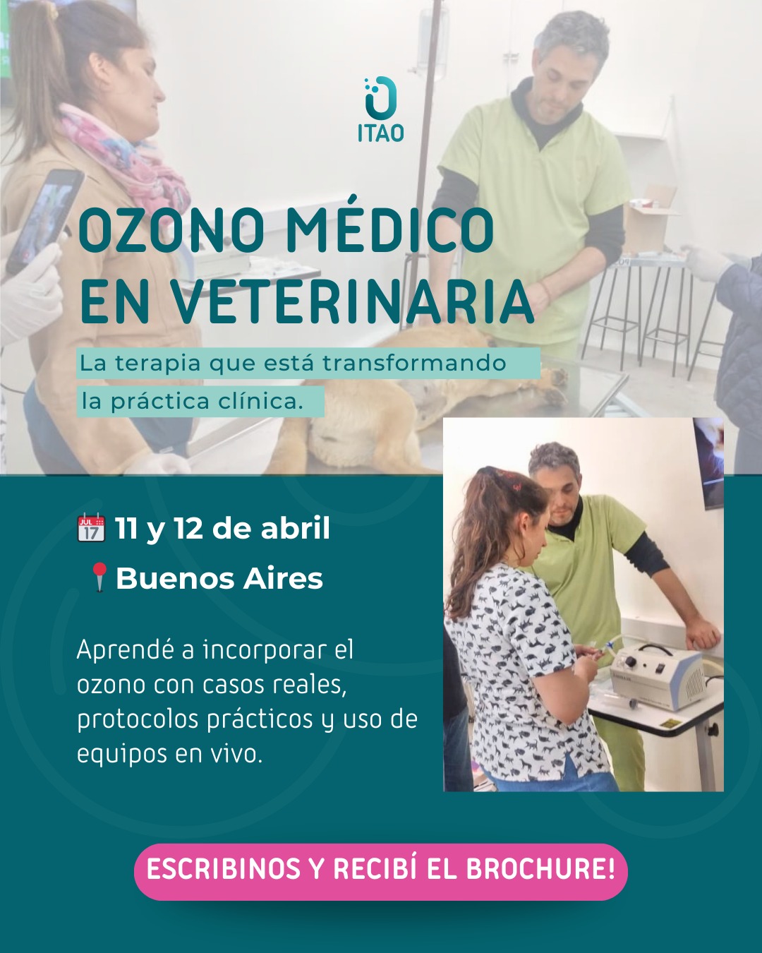 🐾 Ozono Médico en Veterinaria: Transformando la Clínica Diaria con Ciencia